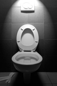 Toilet seat 2